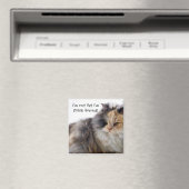 Grappig Cat is niet vet! Dick Fured Magneet (Insitu (Vaatwasser))