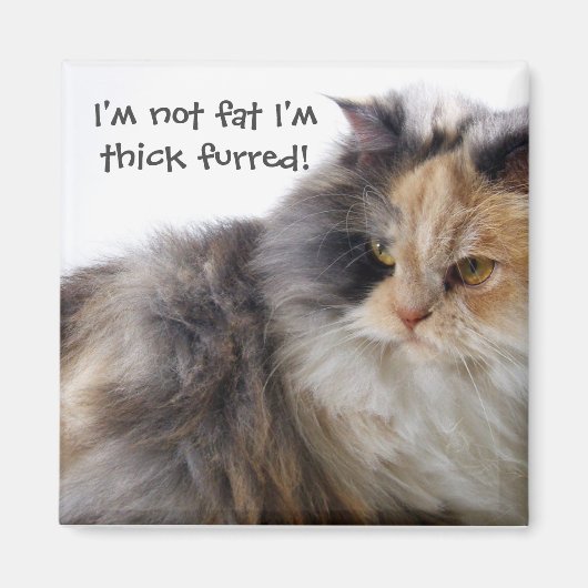 Grappig Cat is niet vet! Dick Fured Magneet (Voorkant)
