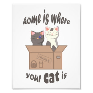 Grappig citaat Home is waar je kat is Foto Afdruk
