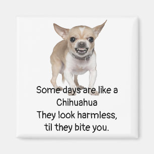 Grappig citaat over het leven met Chihuahua Dog Magneet