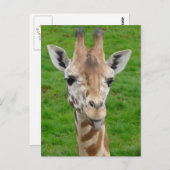 Grappig dat Giraffe Tongue eruit trekt. Briefkaart (Voorkant / Achterkant)