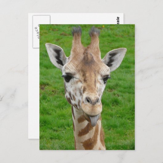 Grappig dat Giraffe Tongue eruit trekt. Briefkaart (Voorkant / Achterkant)