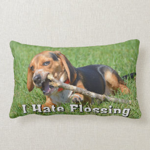 Grappig dat ik Flossing Beagle op een stok haat Kussen
