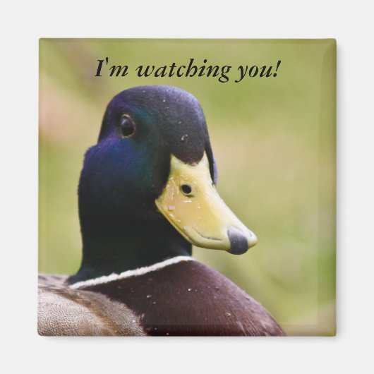 Grappig dat ik je eend koelkastmagneet bekijk magneet (Voorkant)