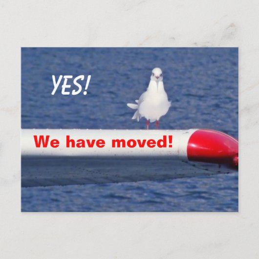 Grappig dat we het Briefkaart van vogels hebben ve (Voorkant)
