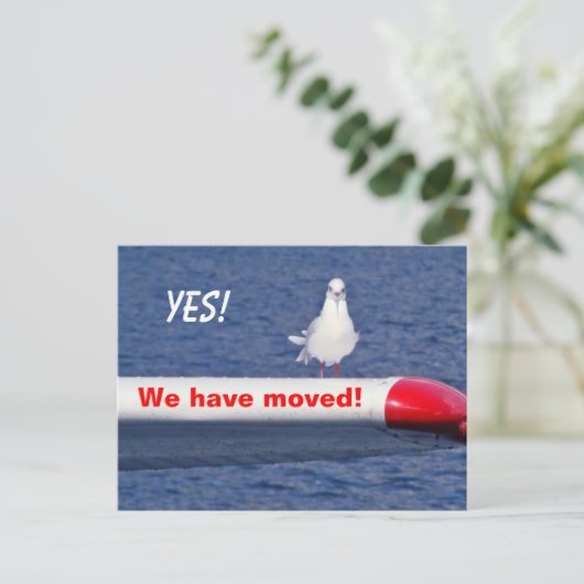 Grappig dat we het Briefkaart van vogels hebben ve (Staand voorkant)