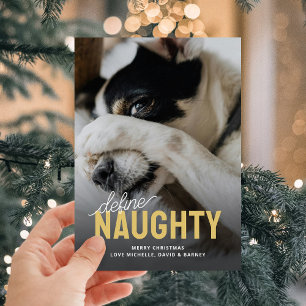 Grappig Definieer Naughty Pet Christmas Feestdagenkaart