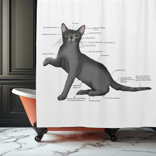 Grappig Diagram van Kat Anatomie Humor Nerdy Douchegordijn