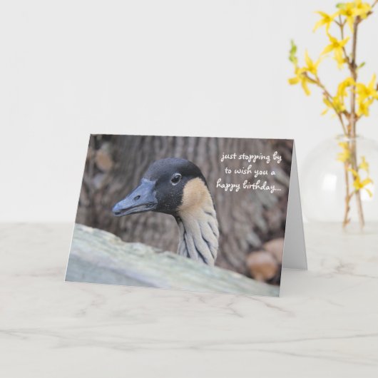 Grappig Duck Birthday Card, hoop dat je dag Ducky  Kaart (Gele Bloem)