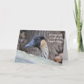 Grappig Duck Birthday Card, hoop dat je dag Ducky  Kaart (Voorkant)