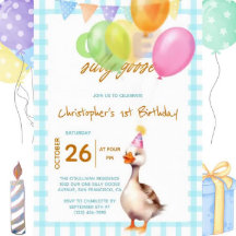 Grappig Een Gekke Goose Blue Boy 1e Verjaardag