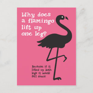 Grappig Flamingo Riddle Briefkaart