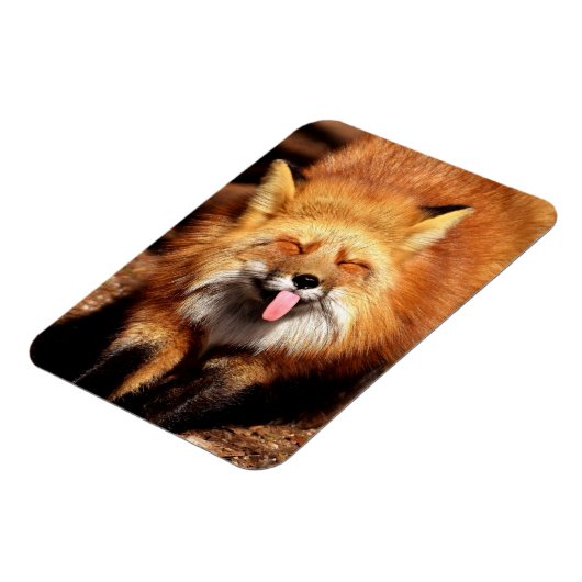 Grappig Fox die het aantikt is Tongue Magneet (Linkerzijde)