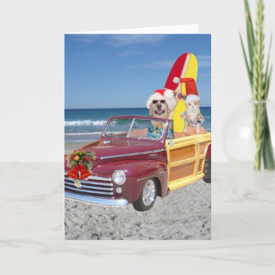 Grappig Geel Lab & Cat Surfer Kerstmis Feestdagen Kaart