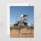 Grappig geit in een boom briefkaart (Voorkant / Achterkant)