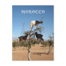 Grappig geit in een boom