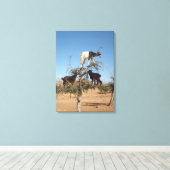 Grappig geit in een boom canvas afdruk (Insitu (Houten vloer))