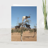 Grappig geit in een boom kaart (Achterkant)