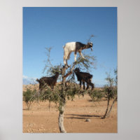 Grappig geit in een boom