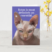 Grappig gerimpeld kat-botox is essentieel kaart (Gele Bloem)