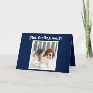 Grappig Get Well Kaart met Schattigee Basset Hound