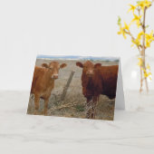Grappig Get Well - Rode Koe Dier Humor - Ranch Kaart (Gele Bloem)