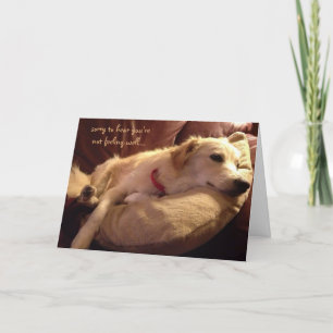 Grappig Get Well, Schattigee Sleeping Dog Dreams Kaart