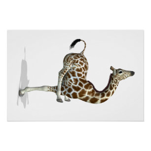 Grappig Giraffe Perfect Poster