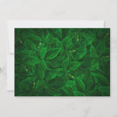 Grappig groen unbe-leaf-able bedankkaart (Achterkant)