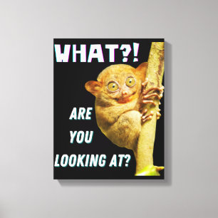 Grappig groots geoogste doelwit wat je ziet canvas afdruk