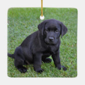 Grappig Happy Howlidays Dog Photo and Name Custom Keramisch Ornament (Achterkant)
