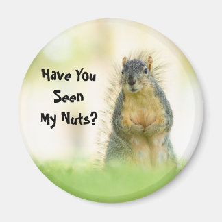 Grappig, heb je mijn Nuts Squirrel Magnet gezien? Magneet
