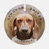 Grappig huisdier Definieer stoute kerst fotoglas Glas Ornament (Achterkant)