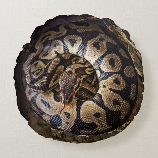 Grappig huisdier Python Boa Snake Rond Kussen (Voorkant)
