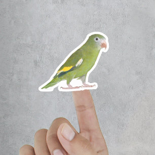 Grappig huisdier uitgesneden aangepaste foto sticker