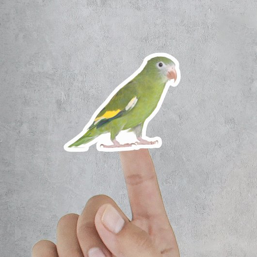 Grappig huisdier uitgesneden aangepaste foto sticker