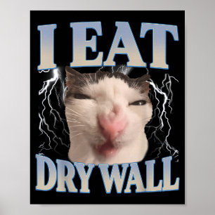 Grappig Ik Eet Droge Muur Domme Kat Meme Mannen Vr Poster