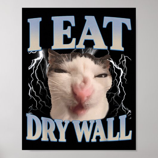 Grappig Ik Eet Droge Muur Domme Kat Meme Mannen Vr Poster (Voorkant)