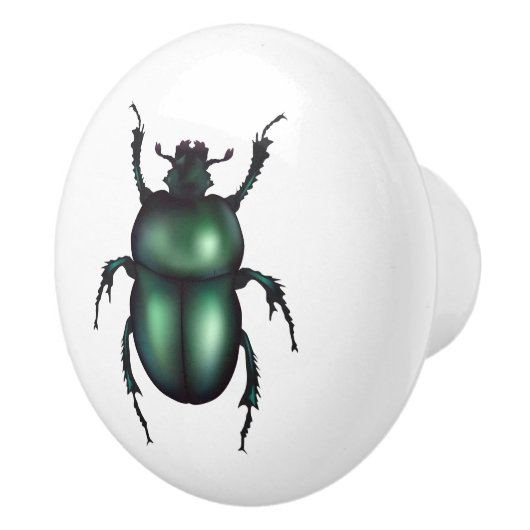 Grappig Insect Keramische Knop (Rechts)