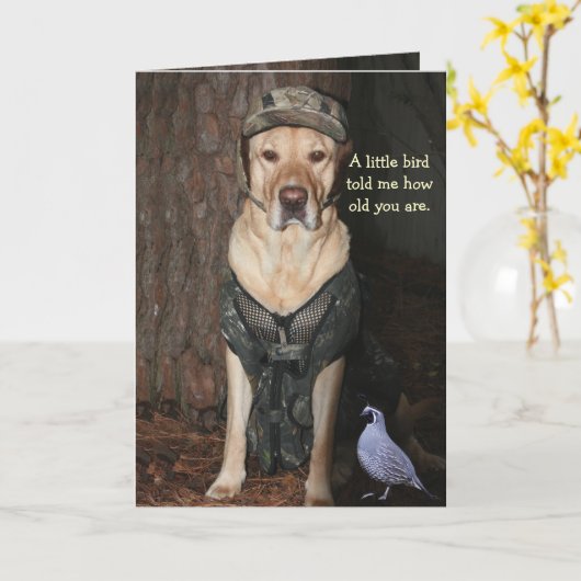 Grappig Jacht Lab Verjaardag Kaart (Gele Bloem)