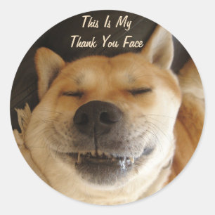 grappig japans akita met schattig alle gelegenhede ronde sticker