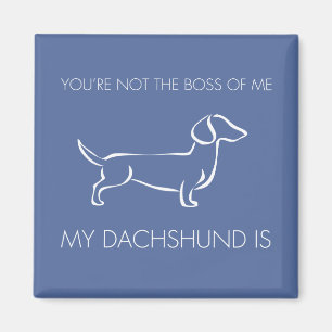 Grappig, je bent niet de baas van me Dachshund Magneet