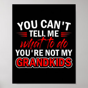 Grappig, je kunt me niet vertellen wat ik moet doe poster