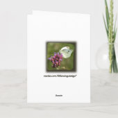 Grappig June Bug Wenskaart Kaart (Achterkant)