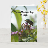 Grappig June Bug Wenskaart Kaart (Gele Bloem)