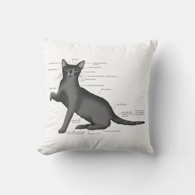 Grappig Kat Anatomie Diagram Humor Nerdy Kussen (Voorkant)