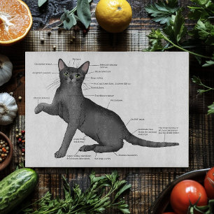 Grappig Kat Anatomie Diagram Humor Nerdy Snijplank