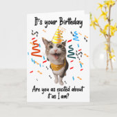 Grappig Kat Glimlachend Verjaardag Wenskaart Kaart (Gele Bloem)