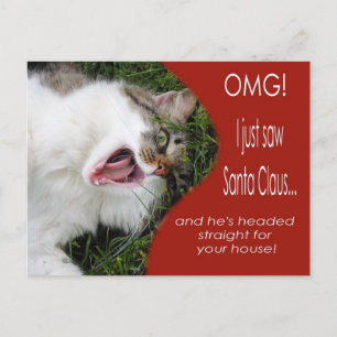 Grappig Kat Kerst Briefkaart