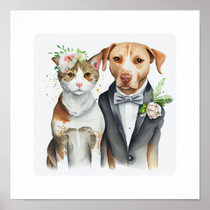 grappig : katten - en hondenweding , waterverf poster
